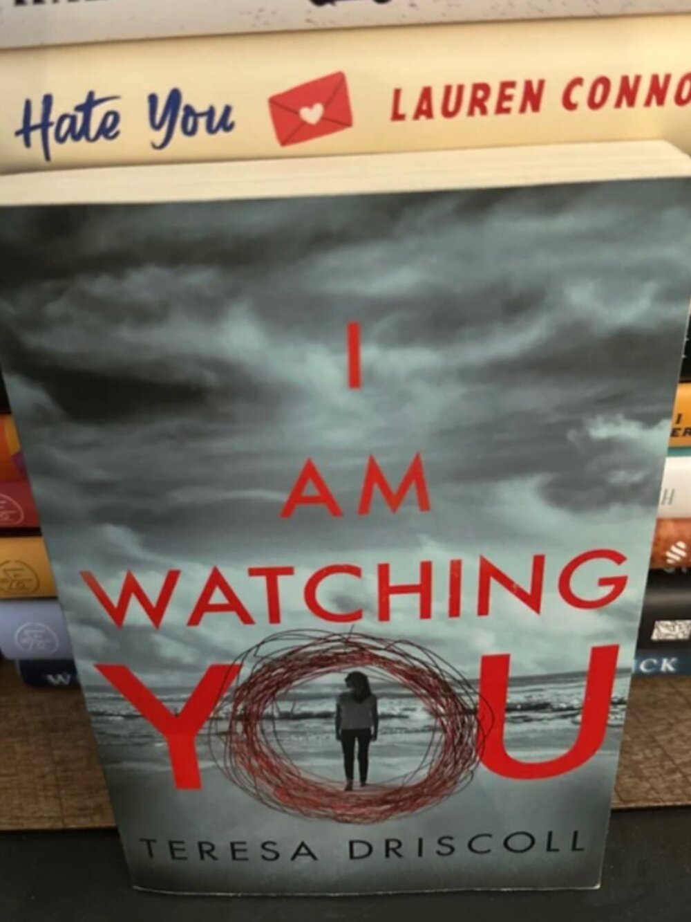 I Am Watching You by Teresa Driscoll Thriller Paperback